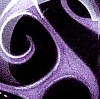 Notwitchcraft ID165.JPG