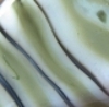 Datei:Notwitchcraft ID35.JPG
