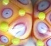 Notwitchcraft ID185.jpg