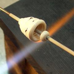 P-mala-muschel03.jpg
