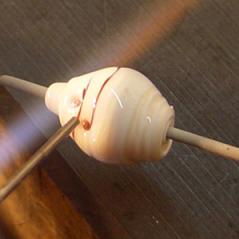P-mala-muschel05.jpg
