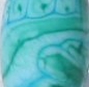 Notwitchcraft ID121.jpg