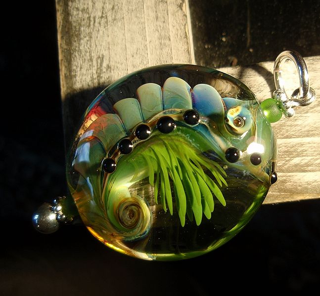 Datei:Wasserlinse back.jpg