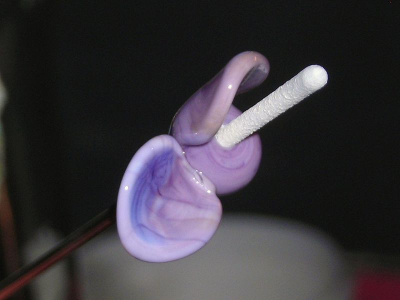 Datei:Blümchenkurs 5-9.JPG