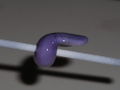 Vorschaubild der Version vom 14. Juni 2013, 13:35 Uhr